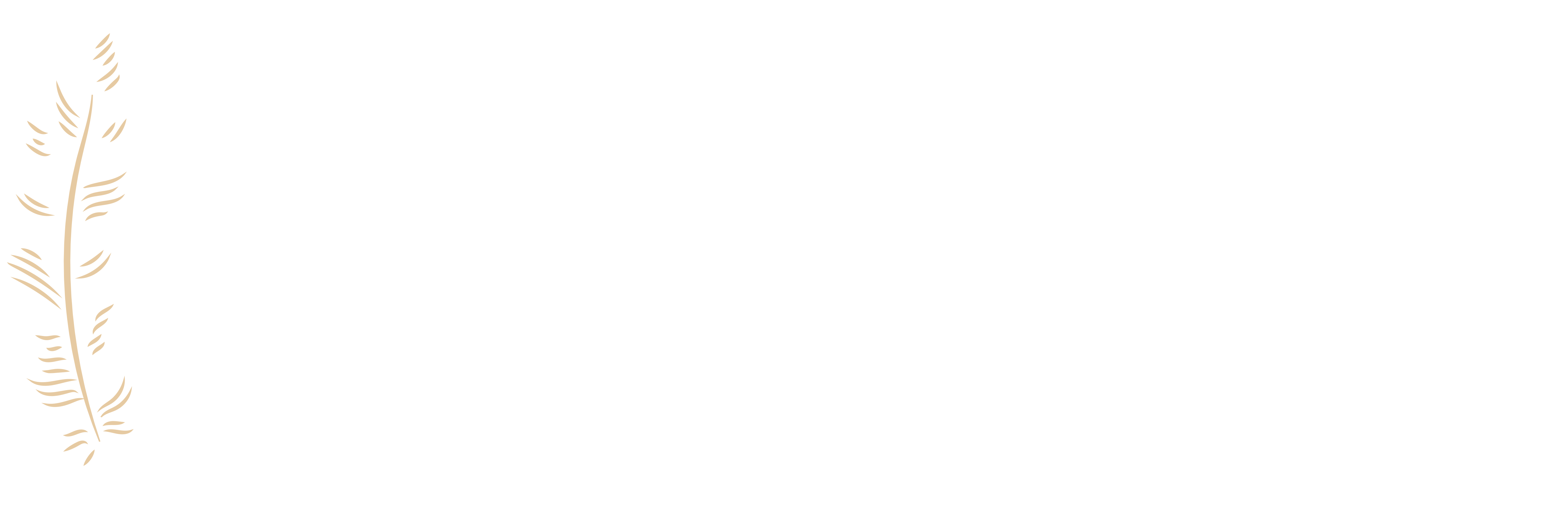 GOLDfeather Property Management